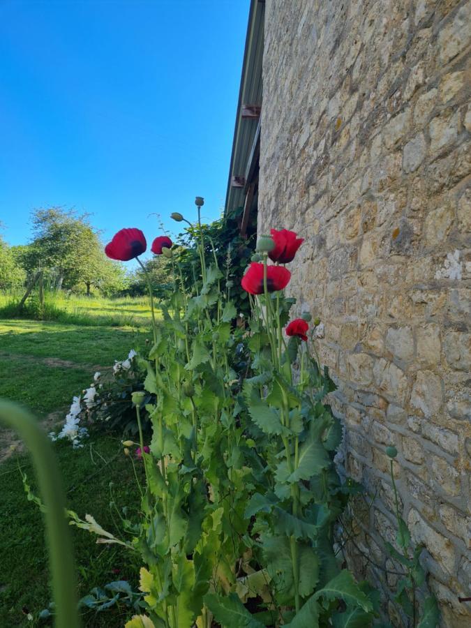 Domaine De La Cour Vautier Bed & Breakfast Mandeville-en-Bessin Екстериор снимка