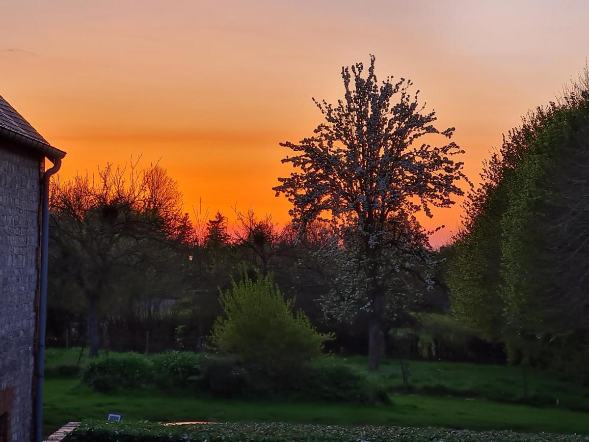 Domaine De La Cour Vautier Bed & Breakfast Mandeville-en-Bessin Екстериор снимка