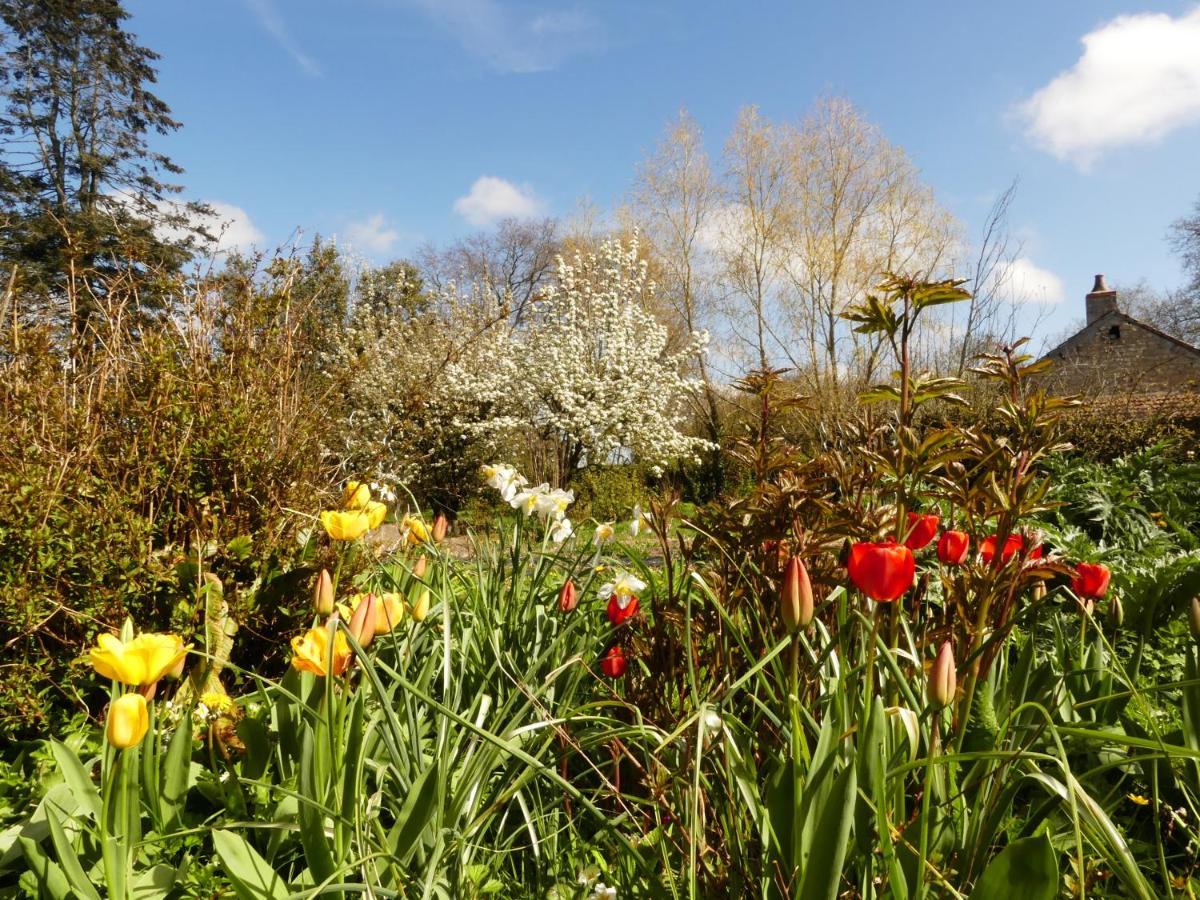 Domaine De La Cour Vautier Bed & Breakfast Mandeville-en-Bessin Екстериор снимка