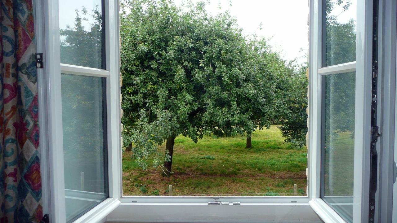 Domaine De La Cour Vautier Bed & Breakfast Mandeville-en-Bessin Екстериор снимка