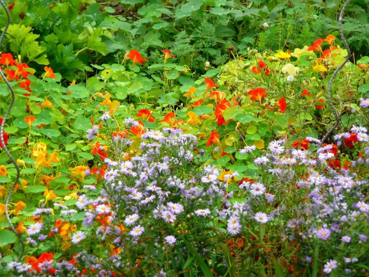 Domaine De La Cour Vautier Bed & Breakfast Mandeville-en-Bessin Екстериор снимка